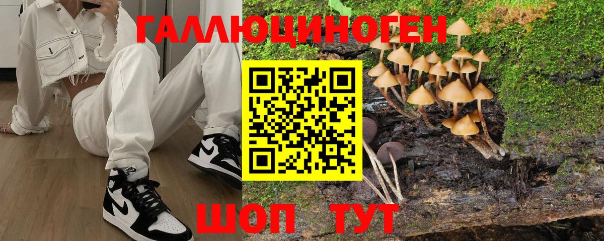 Электросталь  Галлюциногенные грибы MAGIC MUSHROOMS  Вход с VPN 