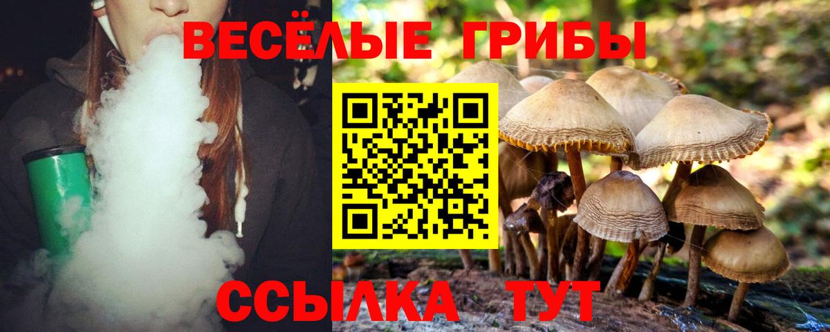 Галлюциногенные грибы Psilocybe Электросталь